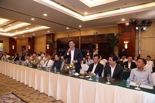 Nhiều tỷ phú thế giới đến Bình Định đầu tư, sao doanh nghiệp nội vẫn lăn tăn?