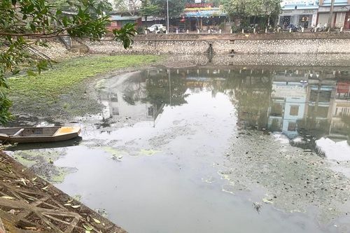 Hồ điều hòa Kim Liên (quận Đống Đa) ô nhiễm nghiêm trọng:Cần sớm có biện pháp khắc phục, cải tạo