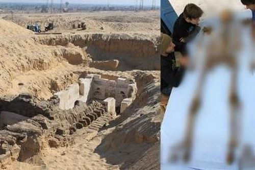 Mở mộ Pharaoh 'bất hạnh' nhất Ai Cập, chuyên gia ngã quỵ thấy thứ này