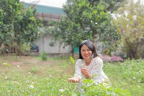 Giọt quê, giọt nhớ