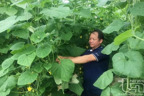 Thái Nguyên 'vượt chướng ngại vật', duy trì đà tăng trưởng nông nghiệp