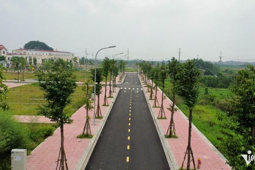 Bất ngờ giá cho thuê căn hộ chung cư; phía sau cơn sốt đổ chục tỷ ôm đất ven đô