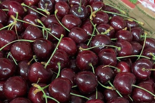 Sự thật cherry Chile chỉ 100.000 đồng/kg, 'siêu thực phẩm' ở Việt Nam giá rẻ bèo