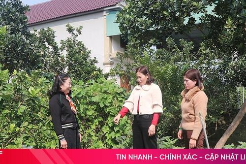 Nữ đảng viên tiêu biểu góp sức xây dựng nông thôn mới