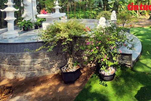 TP Hồ Chí Minh: Ban hành quyết định cưỡng chế công trình xây dựng trái phép trên đất giáo dục