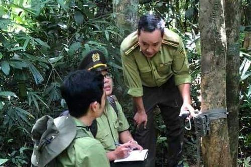 Nguyên nhân nào khiến diện tích rừng tự nhiên giảm ở Huế?