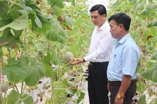 Nghệ An: Tháo gỡ khó khăn, đẩy mạnh các giải pháp phát triển kinh tế tuần hoàn