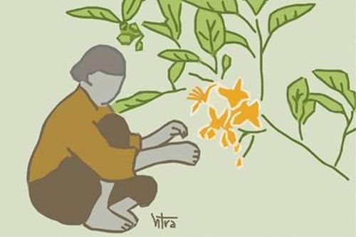 Hương của mùa xuân