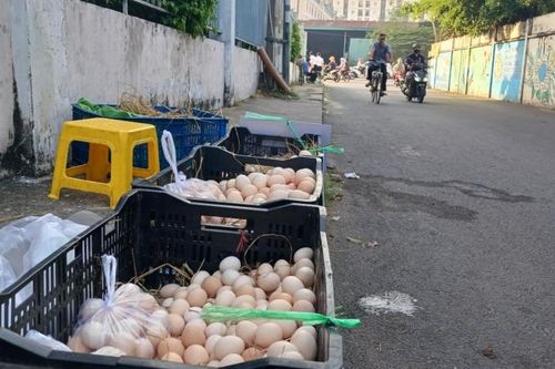 Trứng gà giá rẻ bán đầy đường phố