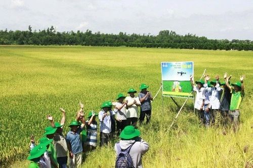 PVFCCo đưa công nghệ mới vào sản xuất nông nghiệp
