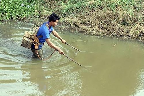 Ngăn chặn hành vi đánh bắt thủy sản bằng xung điện trên sông