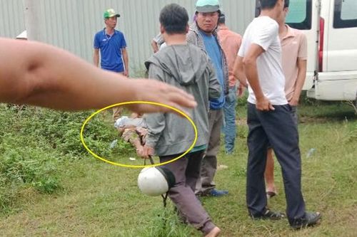 2 người bị thương nguy kịch vì…chọc phá trâu cái mới sinh con