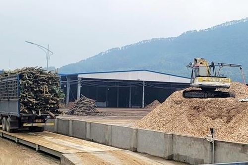 Phớt lờ lệnh cấm, nhiều cơ sở gỗ băm dăm không phép ở Hà Tĩnh vẫn hoạt động