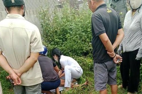 Hai người đàn ông bị trâu húc, chấn thương nặng phải đi cấp cứu