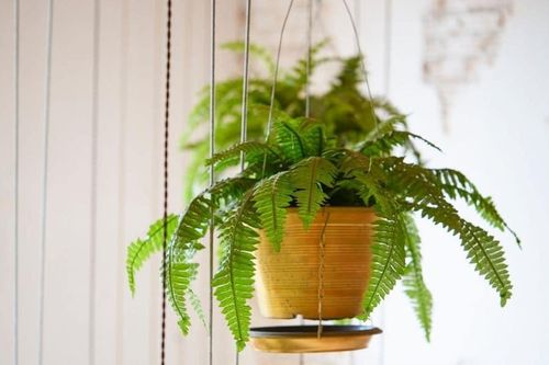 Mẹo giúp nhà luôn khô thoáng khi trời nồm ẩm