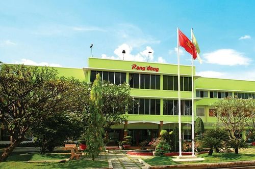 Toàn bộ HĐQT Rạng Đông Holding từ nhiệm sau khi doanh nghiệp bị buộc mở thủ tục phá sản