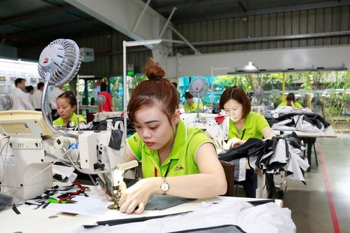 Chuẩn bị phương án điều chỉnh mức lương tối thiểu năm 2025
