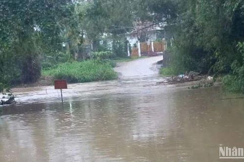 Phú Yên mưa lớn bất thường, gây thiệt hại nhiều diện tích lúa, hoa màu