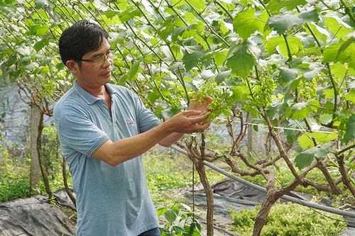 Khởi nghiệp, sáng tạo trong nông nghiệp thời kỳ chuyển đổi số