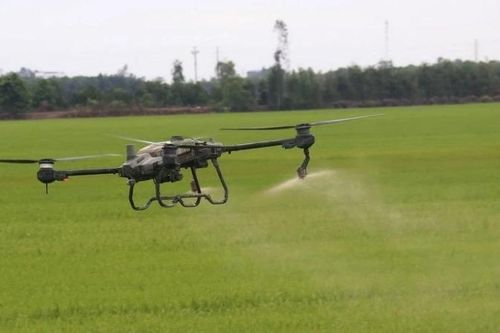 EU từ bỏ kế hoạch cắt giảm thuốc trừ sâu và tác động đối với doanh nghiệp Việt