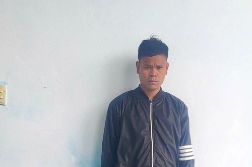 Khởi tố đối tượng cưa hạ gỗ rừng
