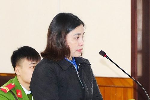 Hà Tĩnh: 'Nữ quái' lĩnh 12 năm tù giam vì tội lừa đảo