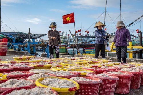 'Lộc biển' đầu năm
