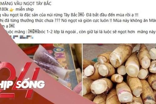 NHỊP SỐNG 24: Măng vầu luộc gây 'sốt' mạng xã hội: Chuyên gia khuyến cáo