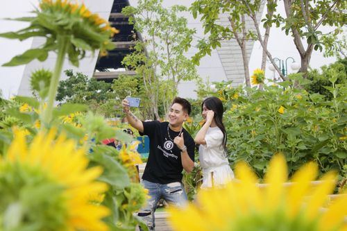 Cánh đồng hoa hướng dương bên bờ sông Sài Gòn thu hút đông đảo du khách 'check-in'