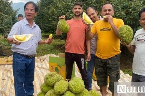 Người nông dân Tây Nguyên đổi đời nhờ nông nghiệp