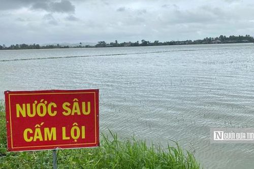 Phú Yên: Mưa lớn giữa mùa Xuân, hàng nghìn hecta hoa màu bị ngập, hư hại
