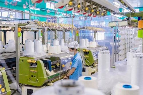 Hỗ trợ doanh nghiệp chuyển đổi xanh