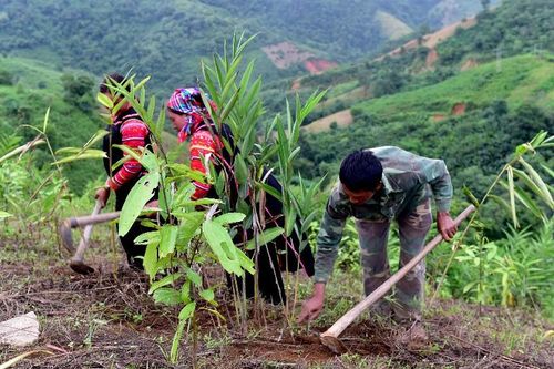 Hướng đi mới giúp người dân thoát nghèo