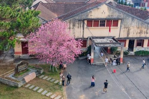 'Địa chỉ đỏ' khơi dậy niềm tự hào, truyền thống yêu nước cho thế hệ trẻ