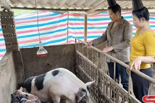 '5 tự, 5 cùng' phát triển kinh tế