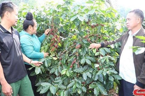 Chiềng Chăn lồng ghép các chương trình mục tiêu quốc gia giảm nghèo bền vững