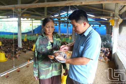 Minh Lập - điểm sáng nông thôn mới kiểu mẫu
