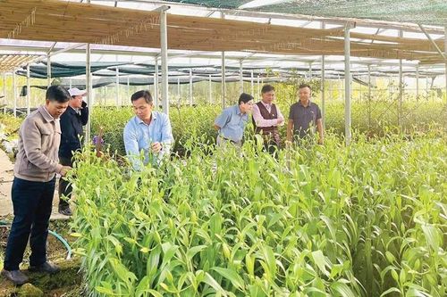 Phát huy công tác dân vận trong phát triển kinh tế