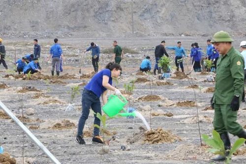 Tập đoàn TKV dự kiến chi trên 1.500 tỷ đồng kinh phí bảo vệ môi trường trong năm 2025