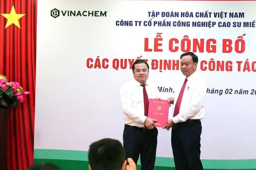Ông Nguyễn Đình Khoát giữ chức Tổng Giám đốc Casumina
