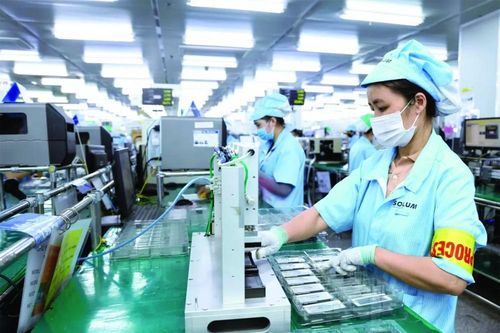 TP. Hồ Chí Minh tăng cường thu hút FDI