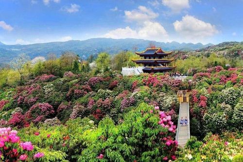 Thúc đẩy trao đổi khách 2 chiều từ đường bay thẳng Hà Nội - Quý Châu