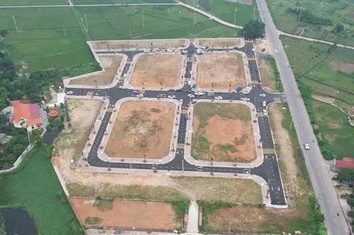 Đất đấu giá Phúc Thọ, thửa cao nhất 46,8 triệu đồng/m²