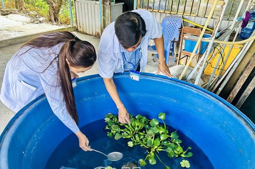 Phòng khám Ða khoa khu vực Tắc Vân: Nỗ lực chăm sóc sức khỏe Nhân dân