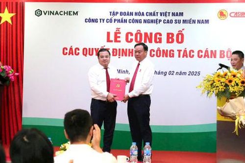 Cao su Miền Nam bổ nhiệm tân Tổng giám đốc