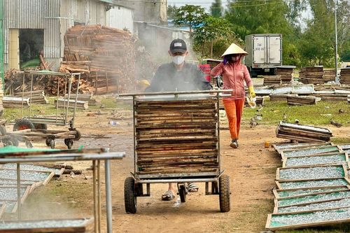 Ngư dân Quảng Ngãi trúng đậm cá cơm, nghề hấp cá tất bật vào vụ