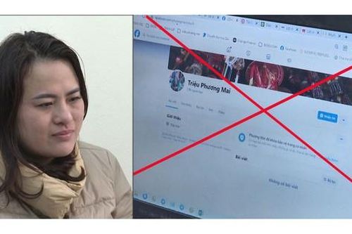 Ma trận lừa đảo trên mạng khiến người dân ngậm 'trái đắng'