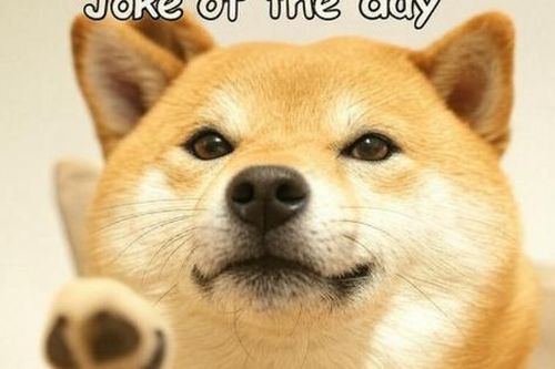'Joke of the day' là gì mà người người đua nhau bắt trend?