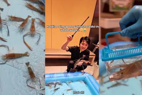 Nhà hàng lẩu ở Singapore chơi lớn gây trầm trồ: 'Hồ' câu tôm ngay trong nhà