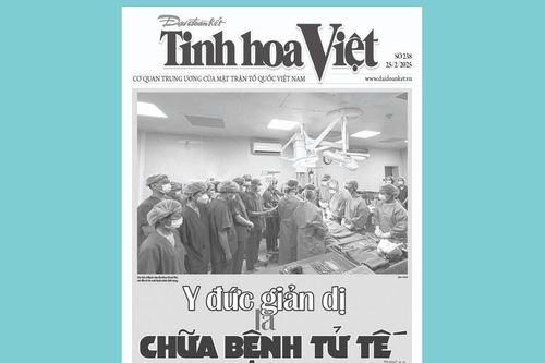 Tìm đọc Tinh hoa Việt số 238, phát hành ngày 25/2/2025